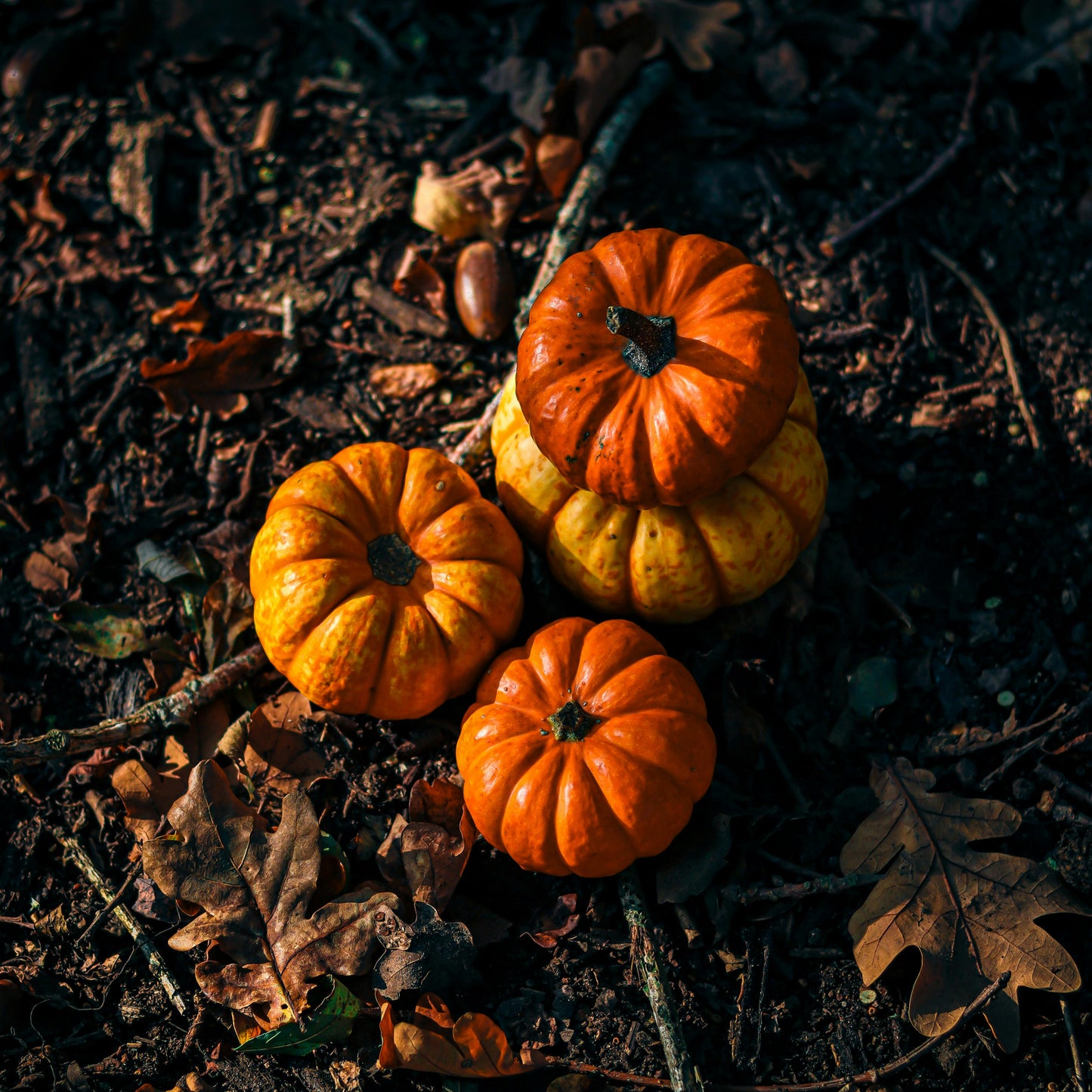 Autumn at Winthrop