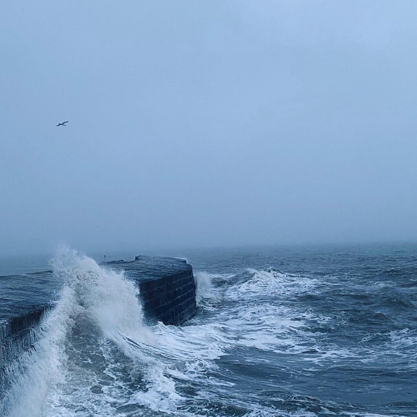 Storm on the Cobb